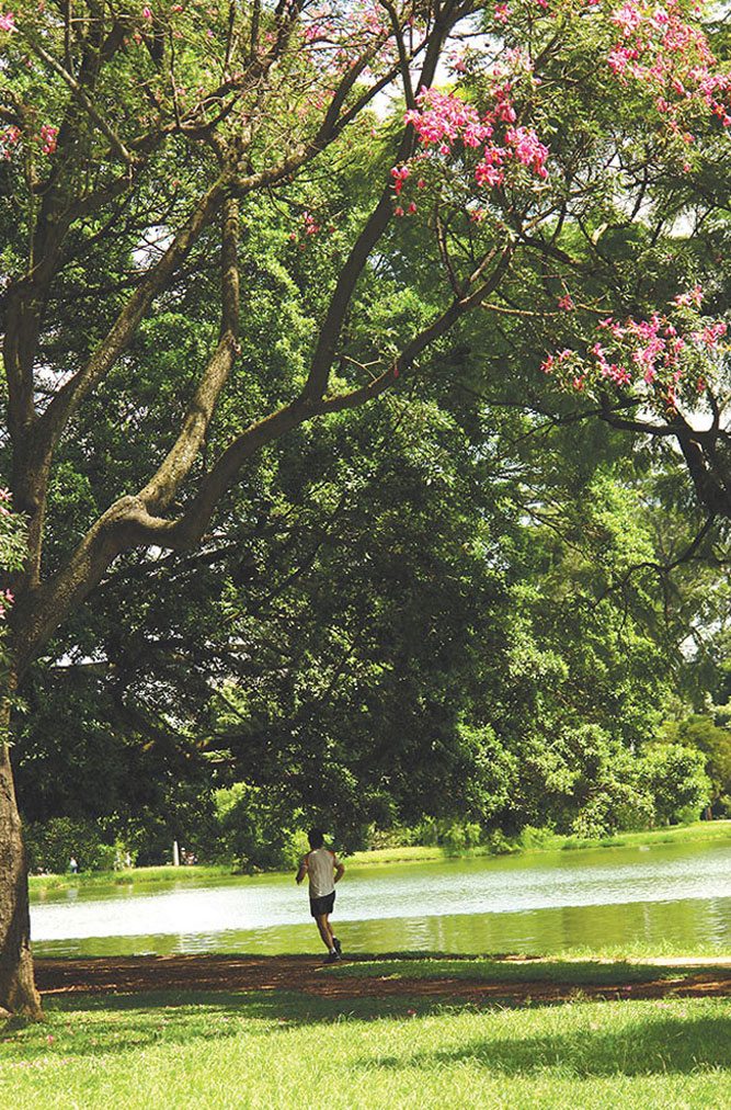 Parque Ibirapuera